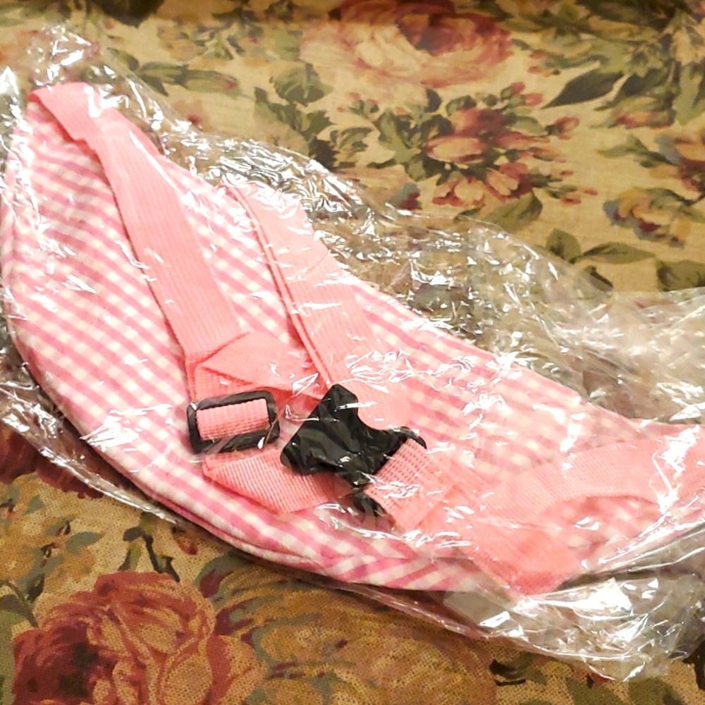 Fannie pack